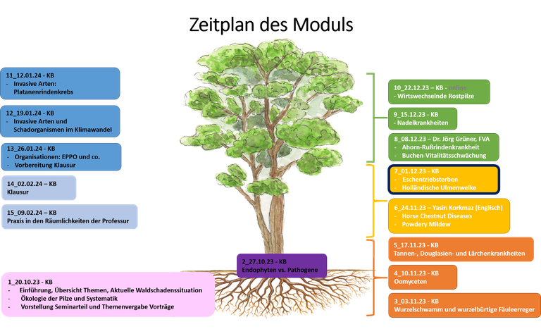 zeitplan des moduls.png
